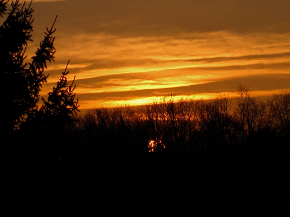Sunrise January 8, 2013