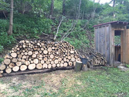 SEPTEMBER 2018 Cut and stacked fallen trees